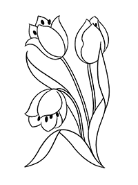 Три цветка тюльпана