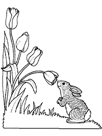 Кролик нюхает тюльпаны