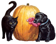 Черный котик, черный щенок с плюшевым мишкой в зубах и тыква