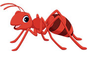 Красный муравьишка