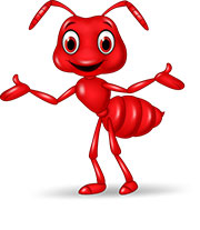 Весёлый красный муравей