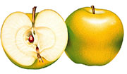 Яблоко и половинка яблока