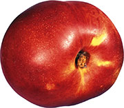 Красное яблоко с черешком