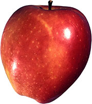 Вытянутое красное яблоко