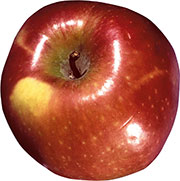 Красное яблоко с желтым пятнышком