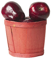 Темно-красные яблоки в красном лубяном ведерке