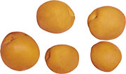 Пять абрикосов. Фотоклипарт в формате PNG