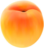 Сочный абрикос. PNG-клипарт