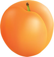 Спелый абрикос. PNG-клипарт