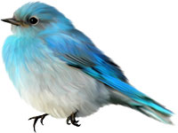 Птичка с голубым оперением