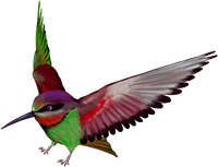 Разноцветная птичка