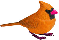 Оранжевая птица с малиновым клювом