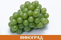 Виноград