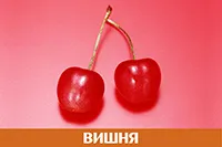 Вишня