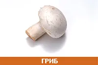 Гриб