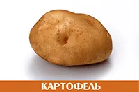 Картофель