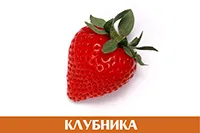 Клубника