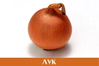 Лук