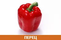 Перец