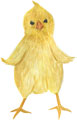 Нарисованный цыплёнок