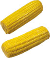 Два початка кукурузы с отрезанными кончиками