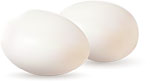 Два белых куриных яйца