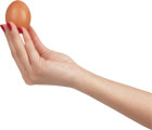 Яйцо в женской руке