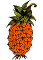 Оранжевый ананас