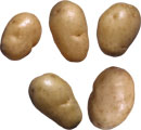 Мытый картофель