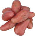 Сорт картофеля с розовыми удлиненными клубнями