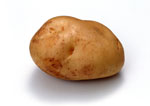Клубень картофеля с большим глазком