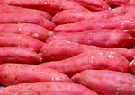 Картофель с красными клубнями