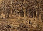 Еловый лес (У ручья). 1890