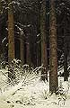 Еловый лес зимой. 1884