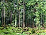 Лес в Мордвинове. 1891