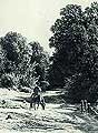 Лес. 1869