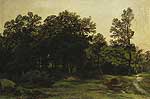 Лиственный лес. 1890-е