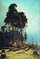 Сосновый лес. 1883-1894