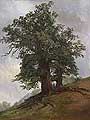 Старый дуб. 1866