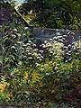 Уголок заросшего сада. Сныть-трава. 1884