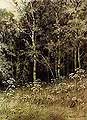 Цветы в лесу. 1877
