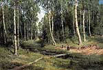 Ручей в березовом лесу. 1883