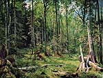Смешанный лес (Шмецк близ Нарвы). 1888