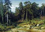 Сосновый бор. Мачтовый лес в Вятской губернии. 1872