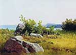 Мещёрский Арсений Иванович (1834-1902). Мостик через речку. Летние травы. 1890-е