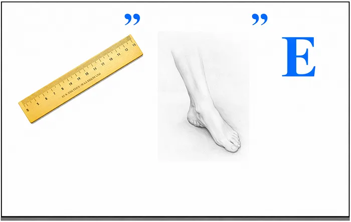 Ребус: ЛИНЕЙНОЕ