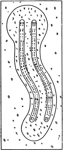 Рисунок Н. Кольцова, иллюстрирующий его гипотезу о делении хромосом