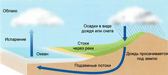 Схема круговорота воды в природе