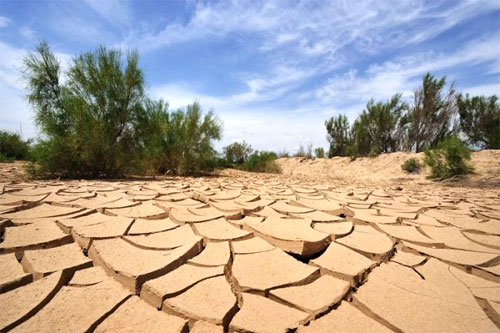 Засуха в песчаном районе
