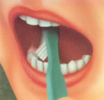 Чистка внутренней поверхности зубов